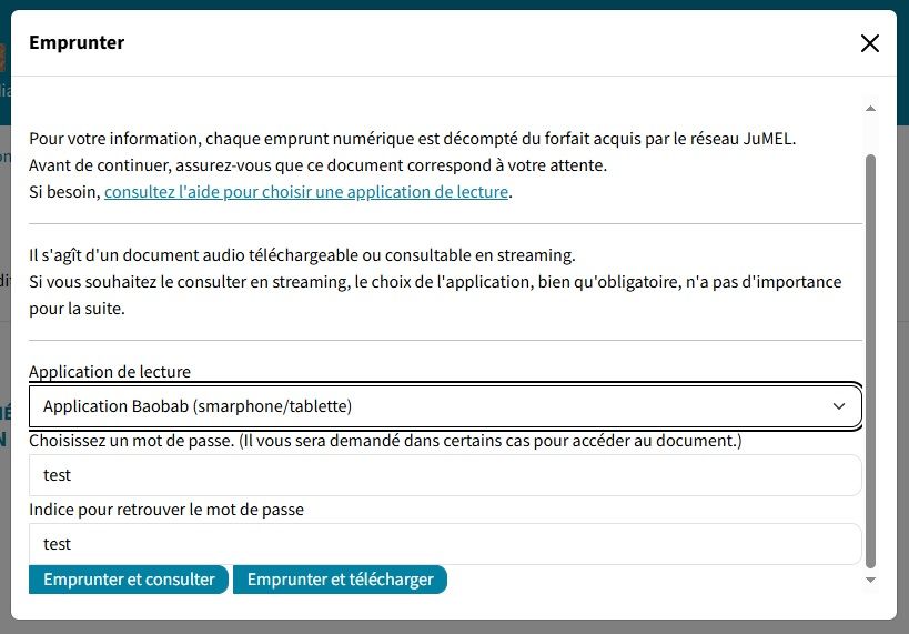 choix entre streaming et telechargement